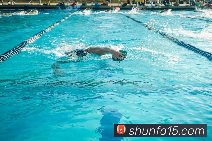 投注app官网服务体系