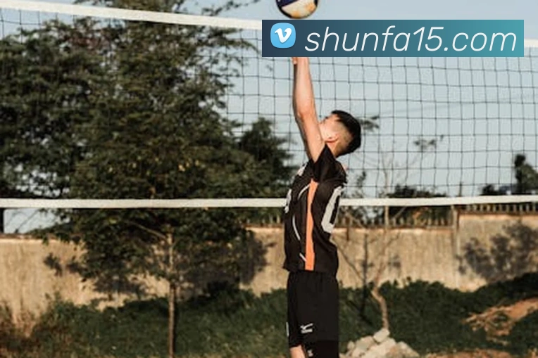 投注app官网APP 体育赛事宣传图